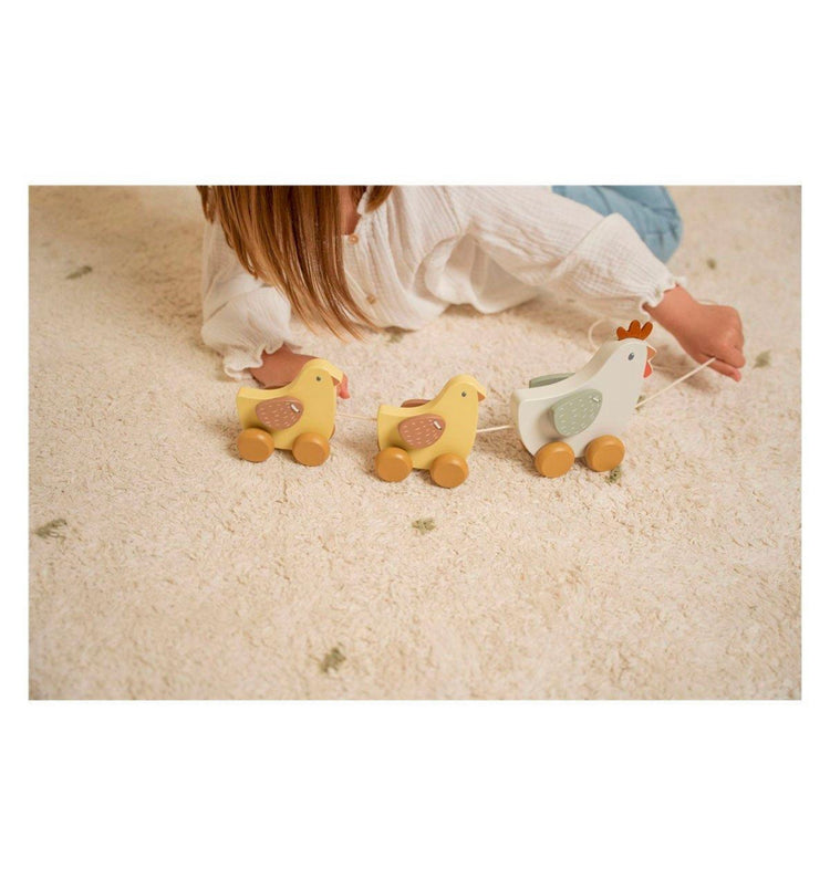 Arrastre Pollitos Little Farm FSC
Little Dutch