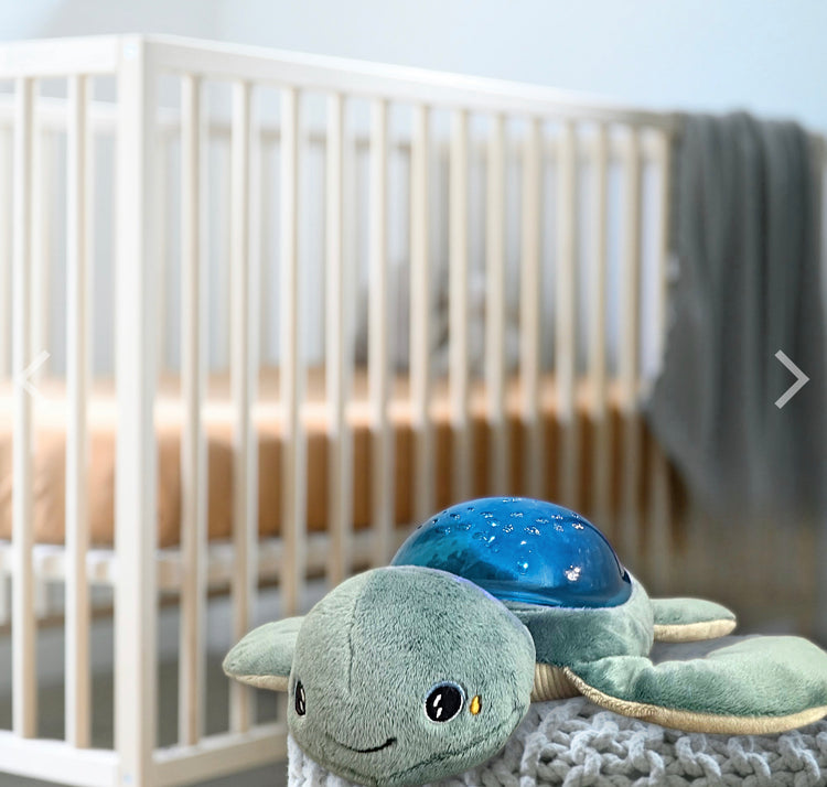 PROYECTOR PELUCHE TORTUGA