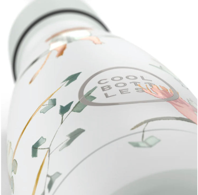 BOTELLAS PARA NIÑOS DE 260 ML - BOTELLA DE AGUA PARA NIÑOS
READING BUDDIES