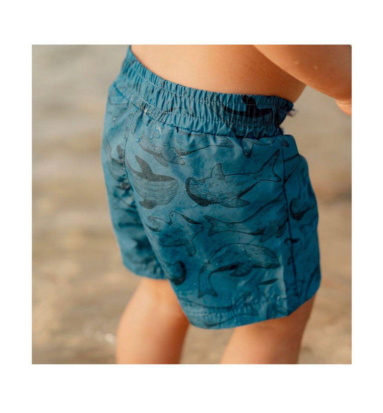 Bañador Sea Life Azul Little Dutch