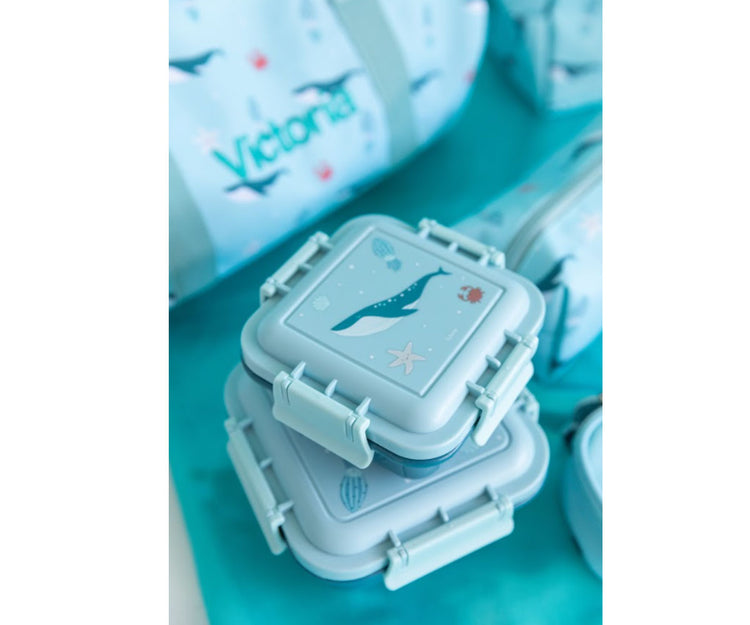 Cajita Almuerzo Ocean