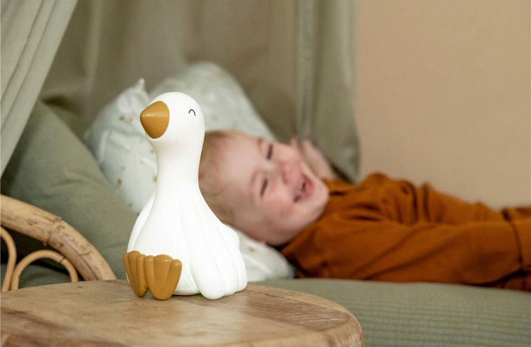 Luz de Compañia Pequeña Oca LD Little Dutch