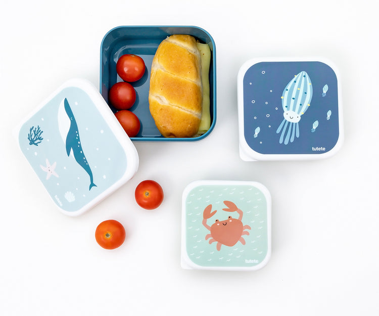 Cajas Almuerzo Ocean