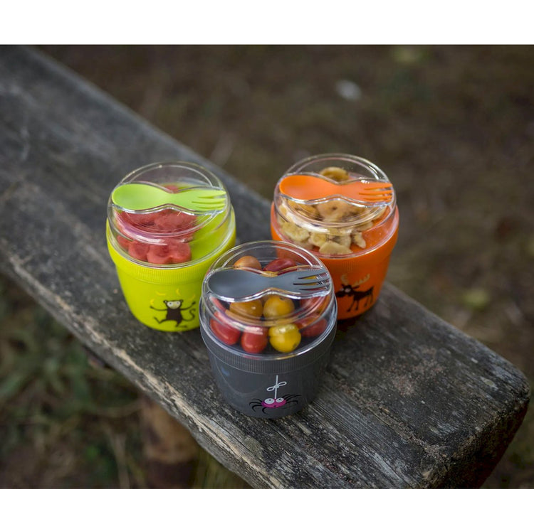 Fiambrera Snack N'ice Cup L Araña Grey
Carl Oscar